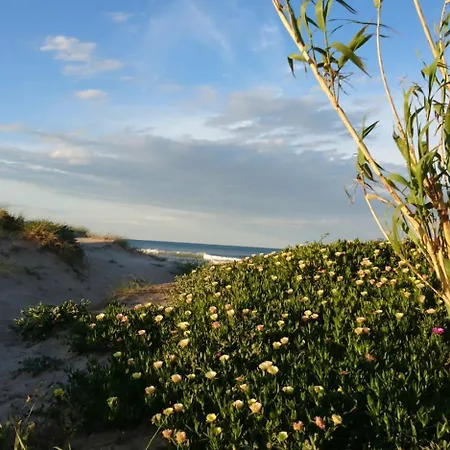 Ca Llauri * Даймус